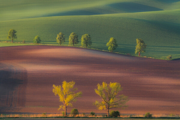 most Instagrammable places in Southern Moravia
