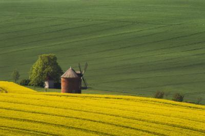 Czechia photos - Chvalkovice windmill