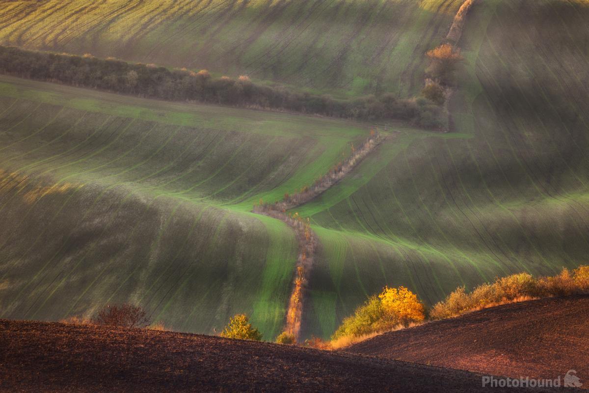 Image of Rolling Fields at Sunset by Piotr Skrzypiec