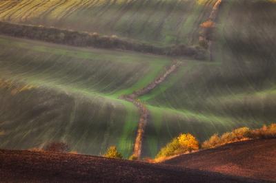 images of Southern Moravia - Rolling Fields at Sunset