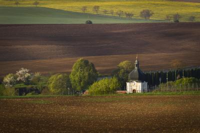 pictures of Southern Moravia - The Middle of Nowhere