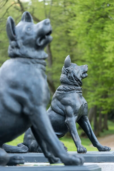 Dog statues