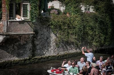Belgium pictures - Boat Tours in Bruges