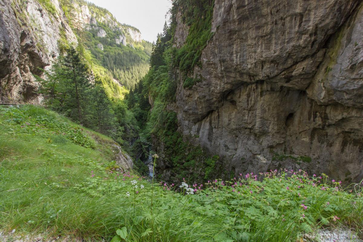 Image of Trigrad Gorge by Dancho Hristov