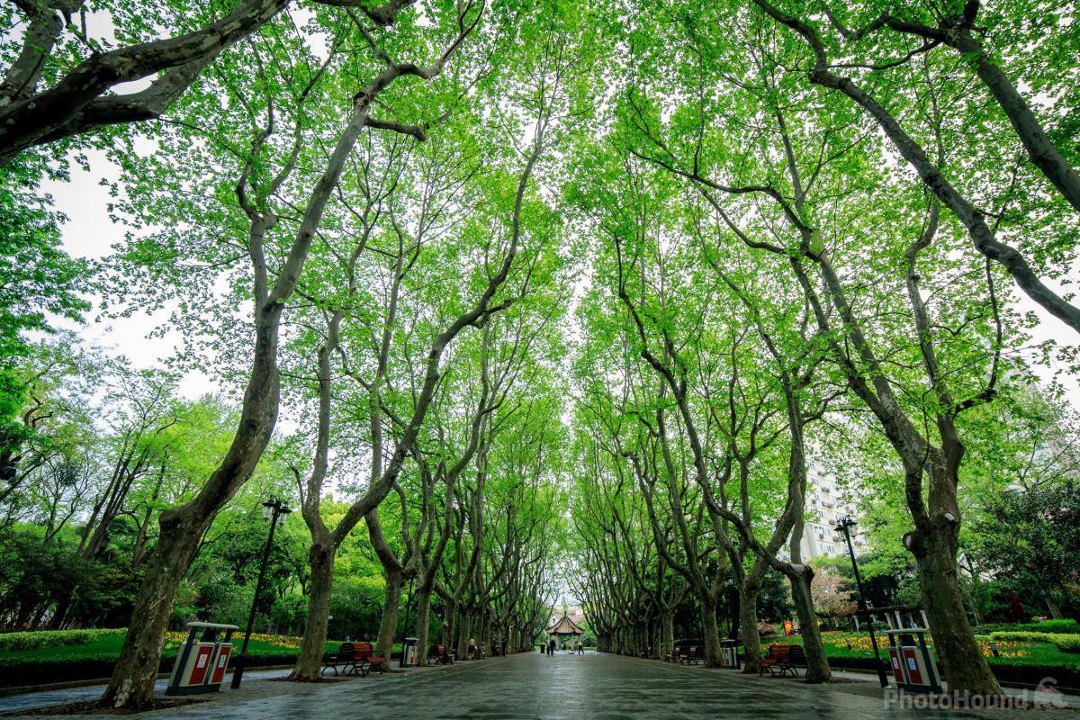 Image of Xiangyang Park （襄阳公园） by Oscar Tarneberg