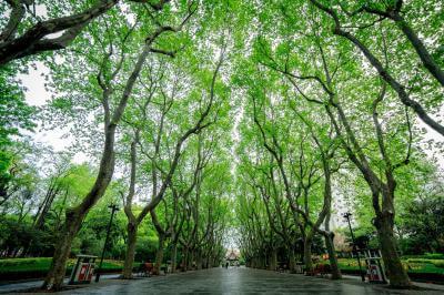 photos of Shanghai - Xiangyang Park （襄阳公园）