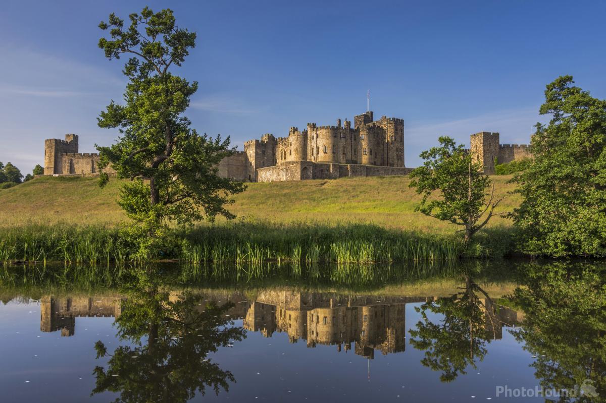 Image of Alnwick Castle and the River Aln by David Taylor