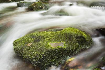 photography locations in Northumberland - College Valley - Hethpool Linn