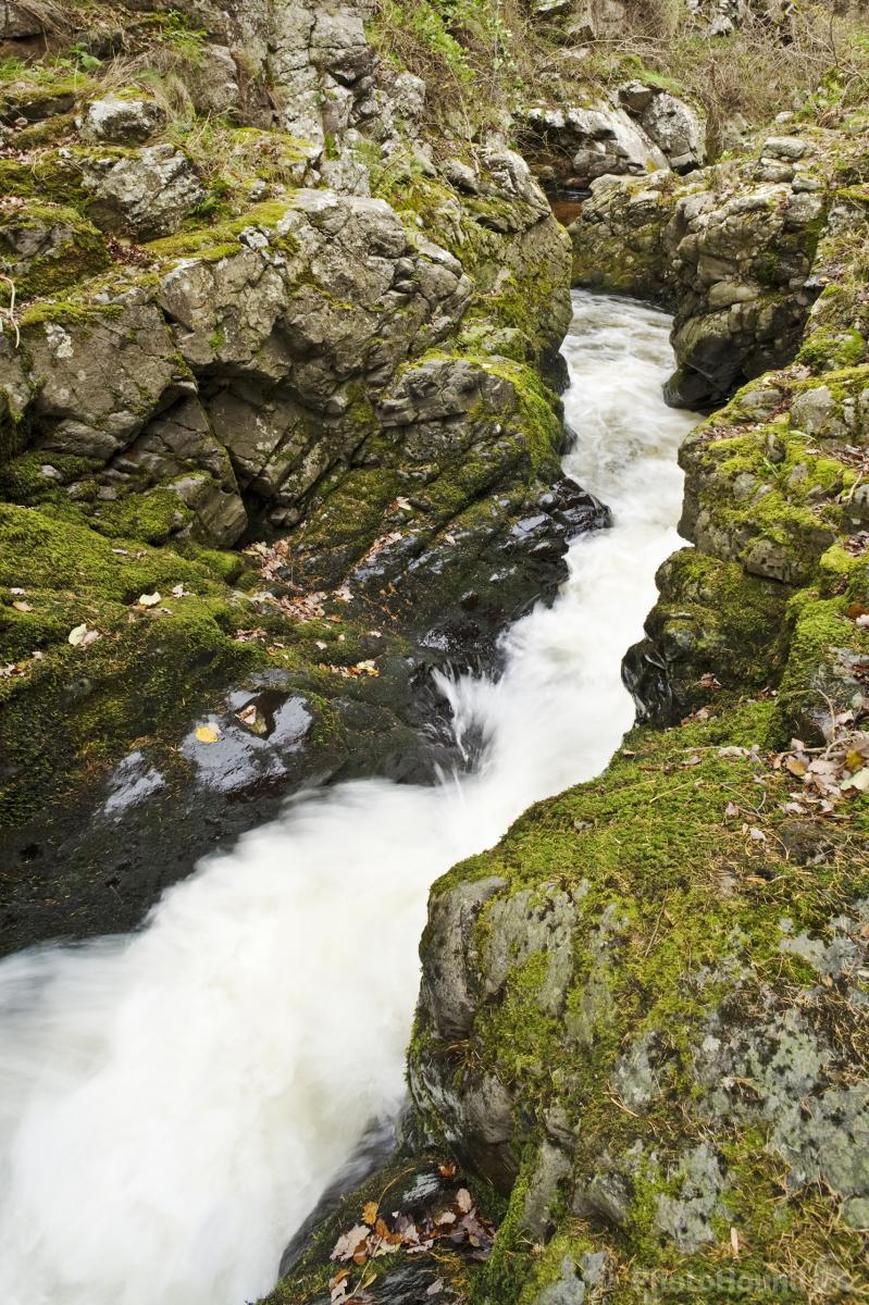 Image of College Valley - Hethpool Linn by David Taylor