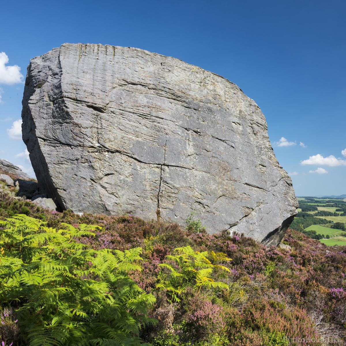 Image of Coquet Valley: The Drake Stone by David Taylor