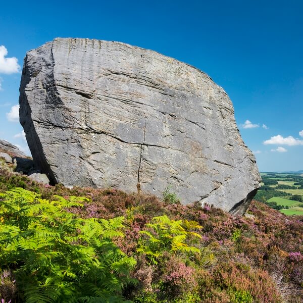 Coquet Valley: The Drake Stone