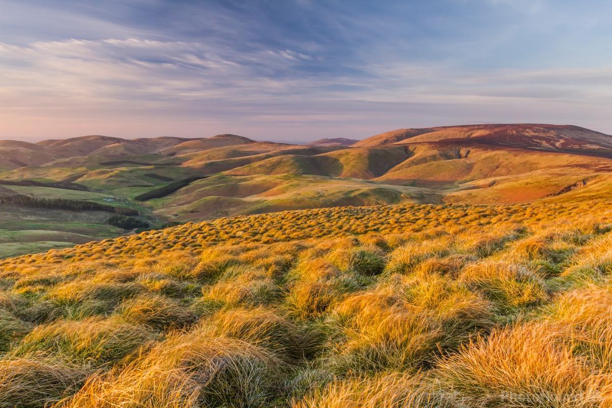 Image of Coquet Valley: Windy Gyle by David Taylor