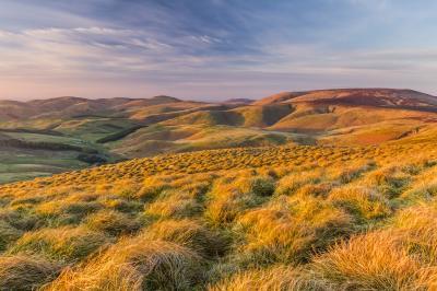 Northumberland photography spots - Coquet Valley: Windy Gyle