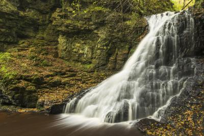 pictures of Northumberland - Hareshaw Linn