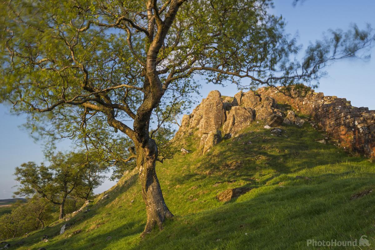 Image of Hadrian’s Wall - Walltown Crags by David Taylor