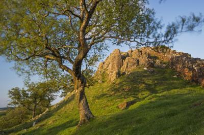 photos of Northumberland - Hadrian’s Wall - Walltown Crags