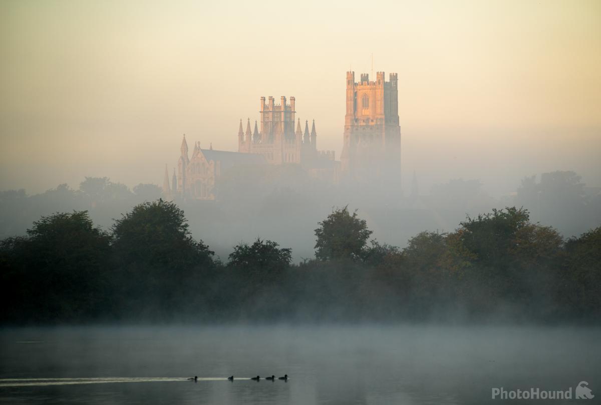 Image of Ely Cathedral from Roswell Pits by Andrew Sharpe