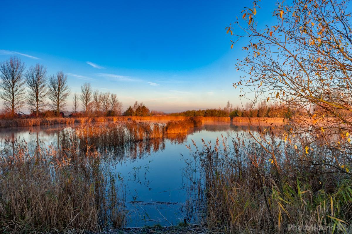 Image of Ouse Washes, Mepal by Andrew Sharpe