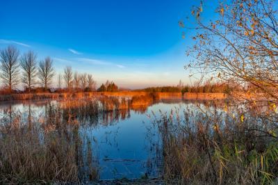 pictures of Cambridgeshire - Ouse Washes, Mepal