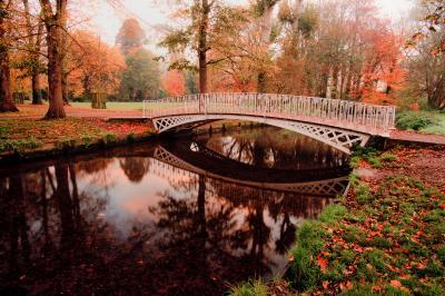 photography locations in London - Morden Hall Park