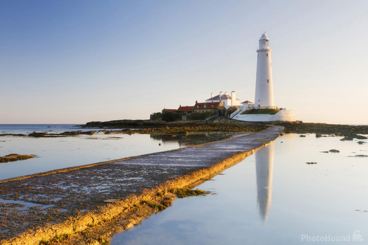Image of St Mary\'s Lighthouse & Causeway by David Taylor