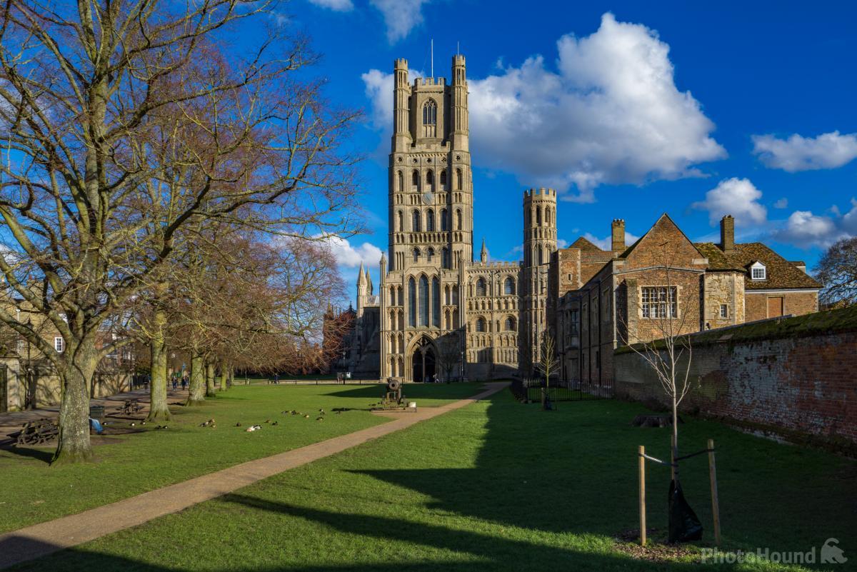 Image of Ely Cathedral from Palace Green by Andrew Sharpe