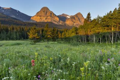 photography locations in Glacier National Park - Cut Bank Valley 