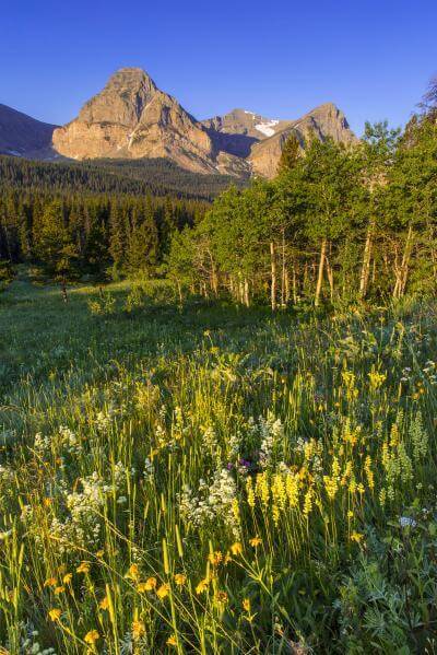 pictures of Glacier National Park - Cut Bank Valley 