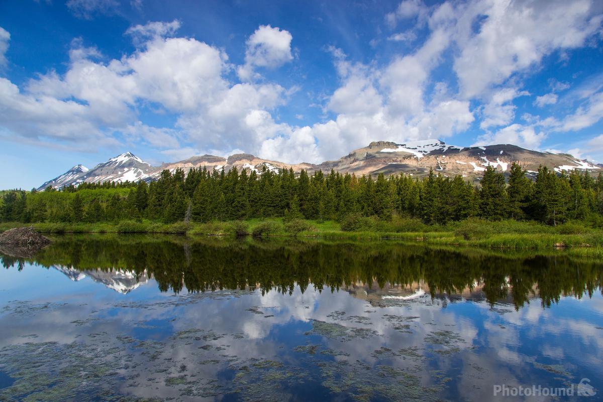 Image of Marias Pass Beaver Ponds by Chuck Haney
