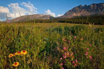 photo locations in Glacier National Park - Two Dog Flats