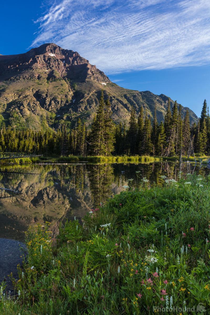 Image of Two Medicine Beaver Ponds by Chuck Haney