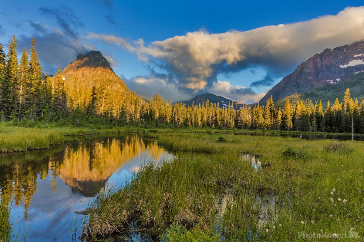 Image of Two Medicine Beaver Ponds by Chuck Haney