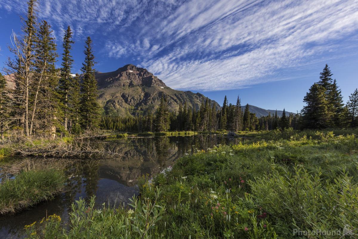 Image of Two Medicine Beaver Ponds by Chuck Haney