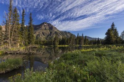 pictures of Glacier National Park - Two Medicine Beaver Ponds
