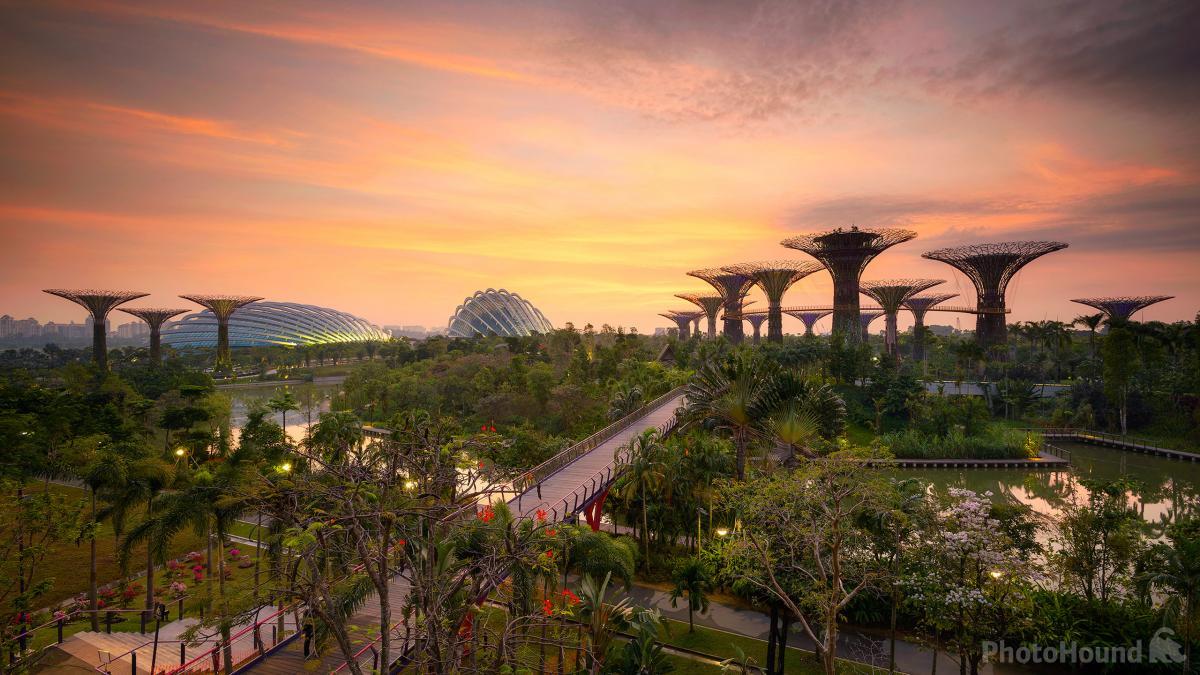 Image of Gardens by the Bay by Jon Chiang