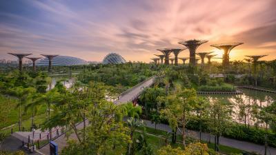 images of Singapore - Gardens by the Bay
