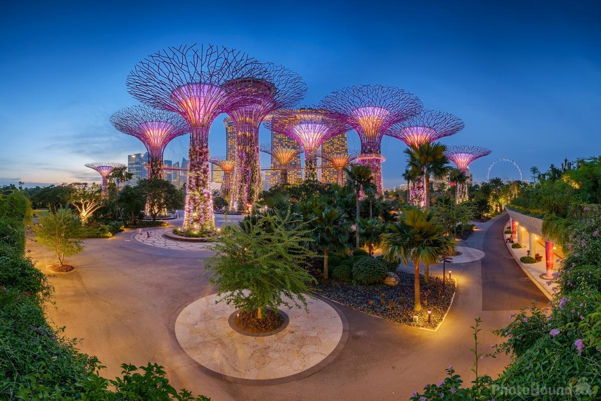 Image of Gardens by the Bay by Jon Chiang