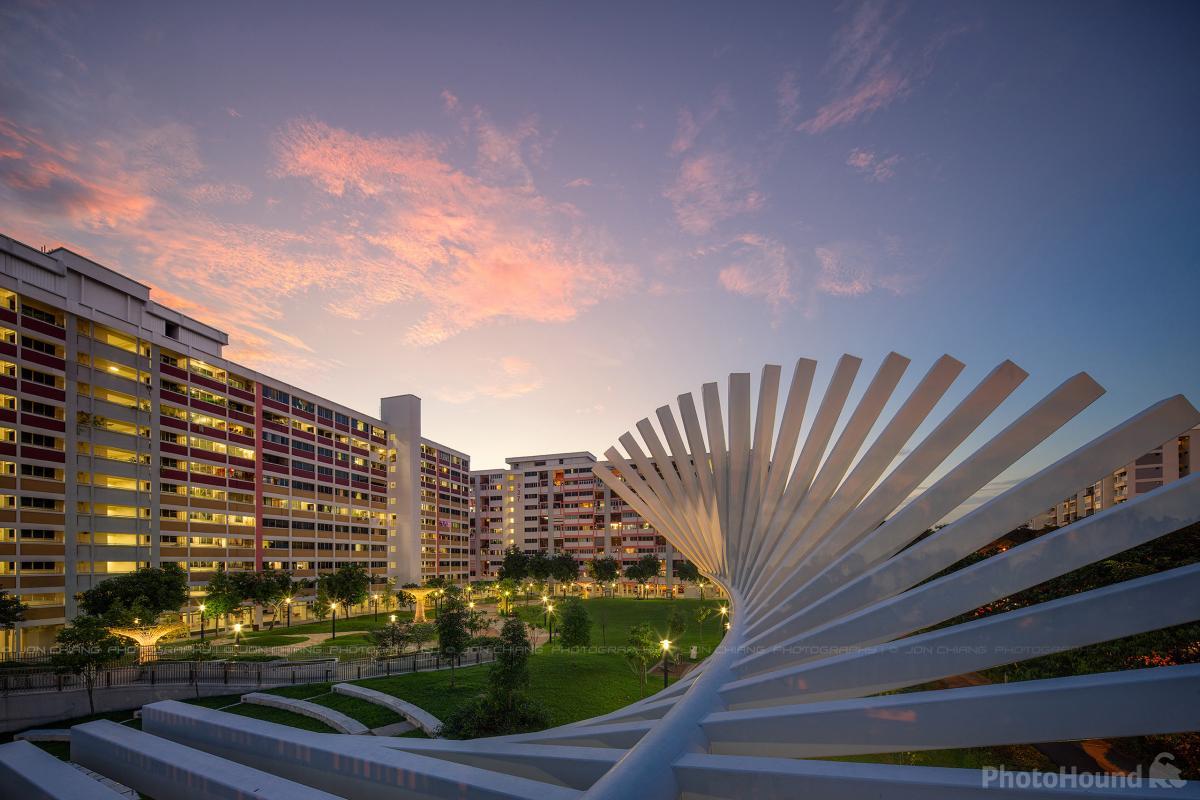 Image of Tampines Supertrees by Jon Chiang