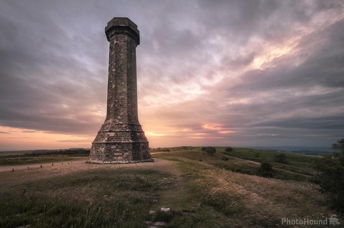 Image of   Hardy Monument by Chris Frost