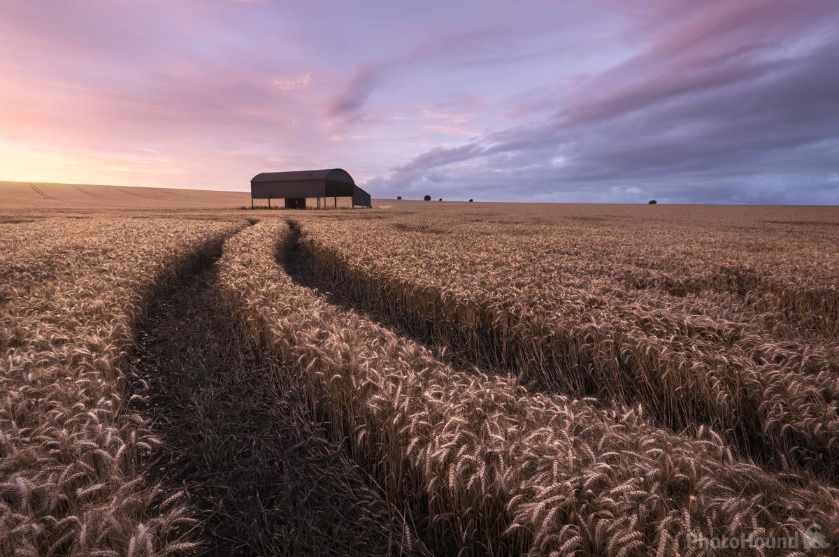 Image of   The Barn at Sixpenny Handley by Chris Frost