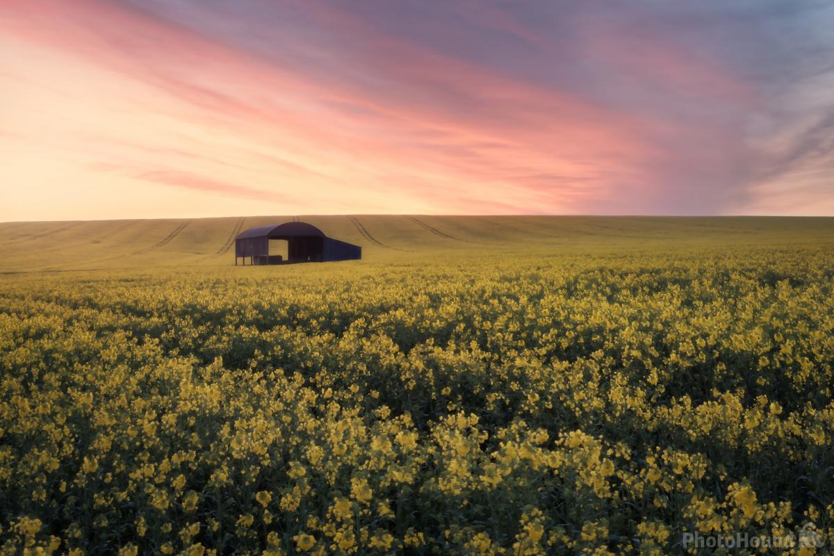Image of   The Barn at Sixpenny Handley by Chris Frost