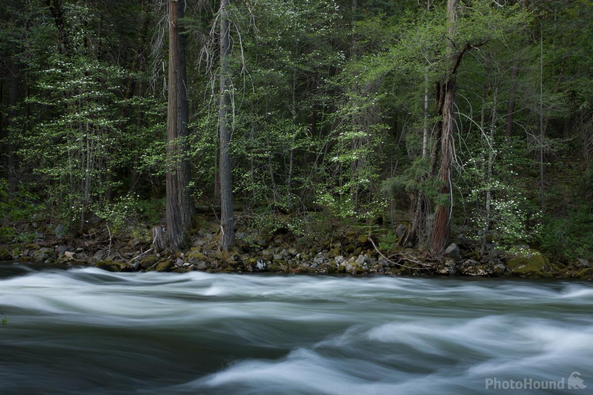 Image of Merced River View by Lewis Kemper