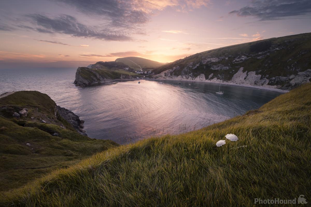 Image of Lulworth Cove by Chris Frost