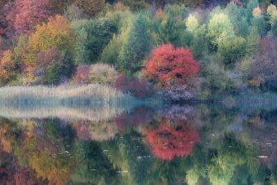 photography locations in Plitvice Lakes National Park - Gradinsko Lake 