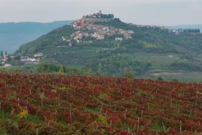 photo locations in Istria - Motovun Town View