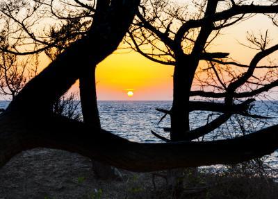 Ocracoke photography locations - Springer Point Nature Preserve