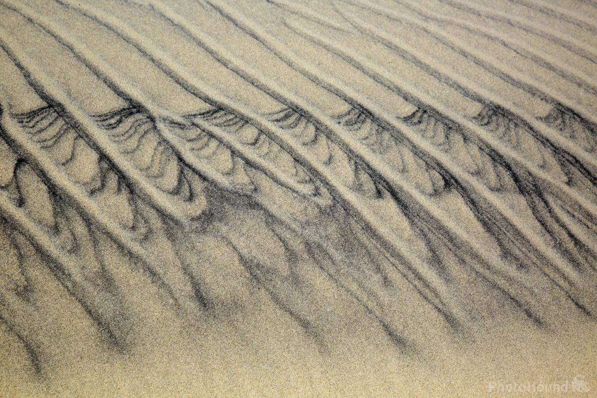 Image of Jockey\'s Ridge State Park by T. Kirkendall and V. Spring