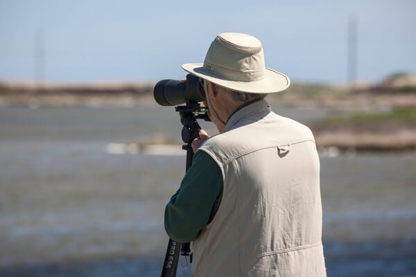 Pea Island National Wildlife Reserve
