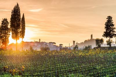 pictures of San Miniato, Tuscany - Via Montorzo