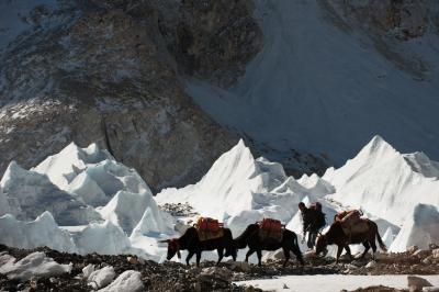 photos of Everest Region - Base Camp